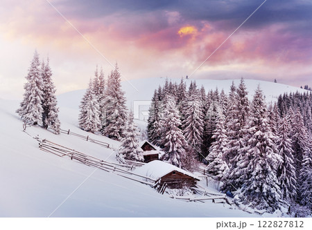 Cozy wooden hut high in the snowy mountains. Great pine trees on the background. Abandoned kolyba shepherd. Cloudy day. Carpathian mountains, it is snowing. Ukraine, Europe Cozy wooden hut high in the snowy mountains. Great pine trees on the background. Abandoned kolyba shepherd. Cloudy day. Carpathian mountains, it is snowing. Ukraine, Europe 122827812
