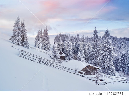 Cozy wooden hut high in the snowy mountains. Great pine trees on the background. Abandoned kolyba shepherd. Cloudy day. Carpathian mountains, it is snowing. Ukraine, Europe Cozy wooden hut high in the snowy mountains. Great pine trees on the background. Abandoned kolyba shepherd. Cloudy day. Carpathian mountains, it is snowing. Ukraine, Europe 122827814
