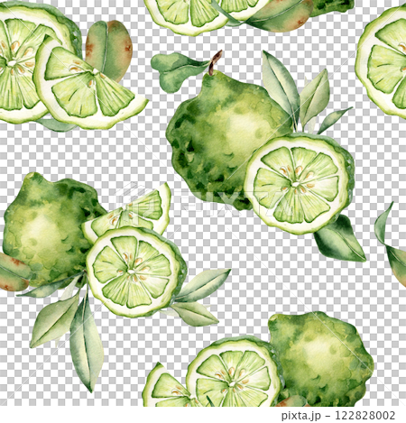 Seamless pattern with lime slices and leaves isolated. Fresh green citrus hand drawn by watercolor on repeated background. Perfect for summer textiles, packaging, wallpaper, and botanical prints. 122828002