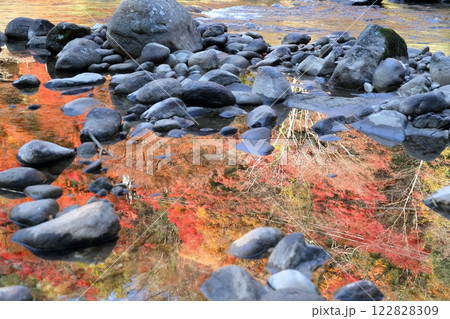 香嵐渓　巴川　紅葉（愛知県 豊田市） 122828309