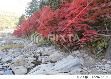 香嵐渓　巴川　紅葉（愛知県 豊田市） 122828606