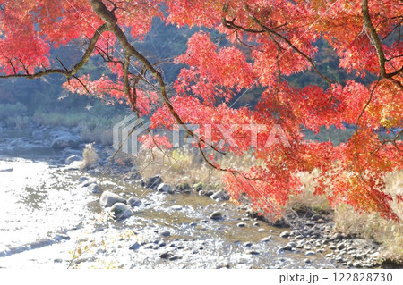 香嵐渓 一の谷 紅葉(愛知県 豊田市) 香嵐渓 一の谷 紅葉(愛知県 豊田市) 122828730