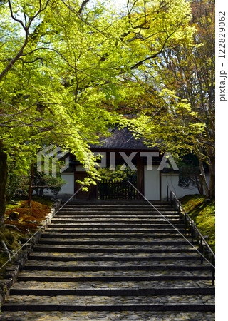 安楽寺の春 安楽寺の春 122829062