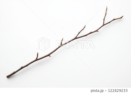 Bare Branch, Isolated Object 122829233