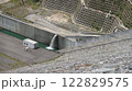 小石原川ダム 122829575