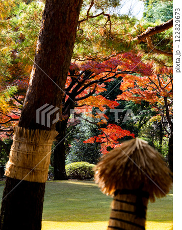 秋晴れに映える鮮やかに色づいた紅葉と藁ボッチ 秋晴れに映える鮮やかに色づいた紅葉と藁ボッチ 122829673