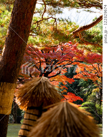 秋晴れに映える鮮やかに色づいた紅葉と藁ボッチ 122829674