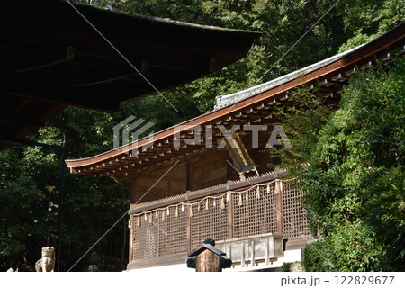 世界遺産宇治上神社 本殿【国宝】 世界遺産宇治上神社 本殿【国宝】 122829677