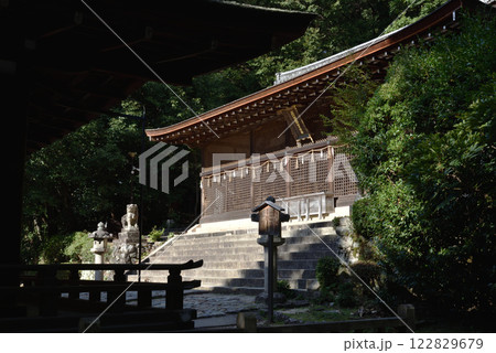 世界遺産宇治上神社 本殿【国宝】 世界遺産宇治上神社 本殿【国宝】 122829679
