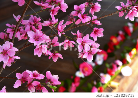 椿の花が満開の霊鑑寺の玄関 122829715