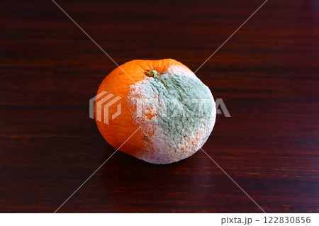 カビが生えた温州みかん 122830856