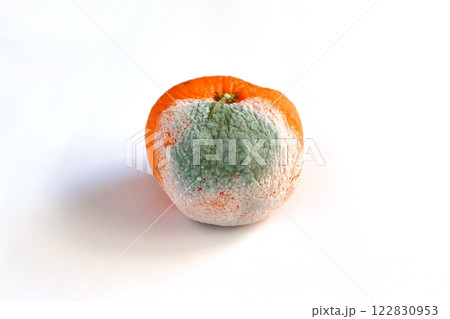 カビが生えた温州みかん 122830953