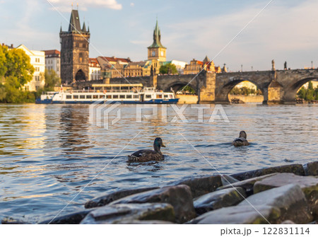ducks on the river Vltava with the Charles Bridge and Old Town Bridge Tower, Prague, Czech republic ducks on the river Vltava with the Charles Bridge and Old Town Bridge Tower, Prague, Czech republic 122831114