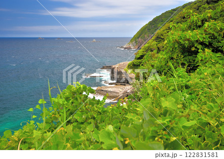 中国地方・須佐ホルンフェルス・いかマルシェから続く歩道から眺める巨大な岩の断層・山口県萩市須佐(3) 122831581
