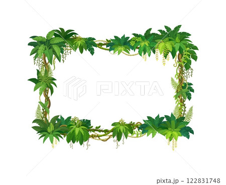 Liana frame of jungle forest and tropical green leaves of ivy plant, cartoon vector background. Rainforest liana branches for photo frame with ivy vine or tropical jungle tree and monstera leaves Liana frame of jungle forest and tropical green leaves of ivy plant, cartoon vector background. Rainforest liana branches for photo frame with ivy vine or tropical jungle tree and monstera leaves 122831748