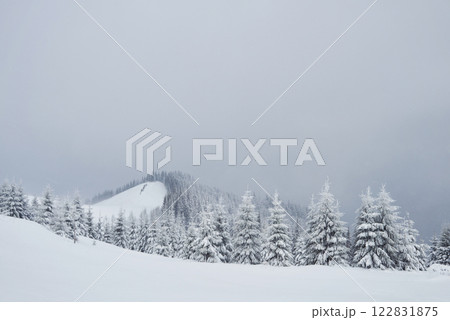 Great winter photo in Carpathian mountains with snow covered fir trees. Colorful outdoor scene, Happy New Year celebration concept. Artistic style post processed photo Great winter photo in Carpathian mountains with snow covered fir trees. Colorful outdoor scene, Happy New Year celebration concept. Artistic style post processed photo 122831875