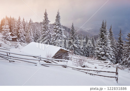 Cozy wooden hut high in the snowy mountains. Great pine trees on the background. Abandoned kolyba shepherd. Cloudy day. Carpathian mountains, Ukraine, Europe Cozy wooden hut high in the snowy mountains. Great pine trees on the background. Abandoned kolyba shepherd. Cloudy day. Carpathian mountains, Ukraine, Europe 122831886
