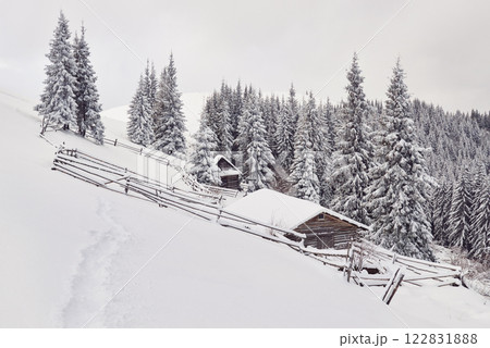 Cozy wooden hut high in the snowy mountains. Great pine trees on the background. Abandoned kolyba shepherd. Cloudy day. Carpathian mountains, Ukraine, Europe 122831888