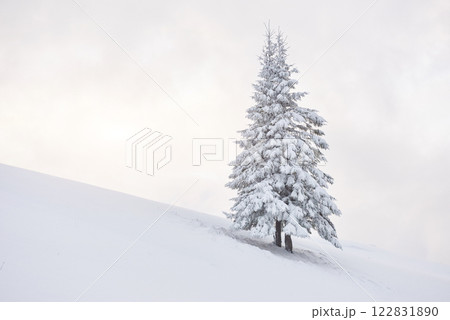 Fantastic winter landscape with one snow tree. Carpathians, Ukraine, Europe Fantastic winter landscape with one snow tree. Carpathians, Ukraine, Europe 122831890