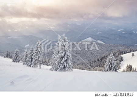 Beautiful winter landscape with snow covered trees 122831913