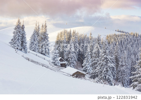 Majestic white spruces glowing by sunlight. Picturesque and gorgeous wintry scene. Location place Carpathian national park, Ukraine, Europe. Alps ski resort. Blue toning. Happy New Year Beauty world Majestic white spruces glowing by sunlight. Picturesque and gorgeous wintry scene. Location place Carpathian national park, Ukraine, Europe. Alps ski resort. Blue toning. Happy New Year Beauty world 122831942