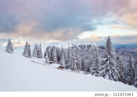 Cozy wooden hut high in the snowy mountains. Great pine trees on the background. Abandoned kolyba shepherd. Cloudy day. Carpathian mountains, Ukraine, Europe 122831961