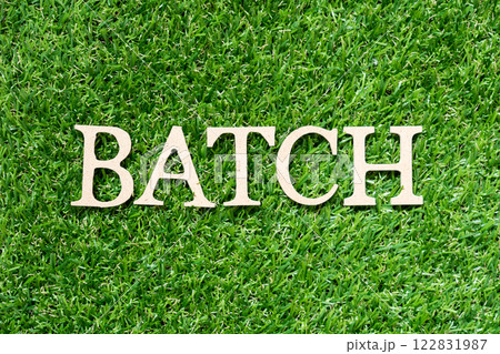 Wood alphabet letter in word batch on artificial green grass background Wood alphabet letter in word batch on artificial green grass background 122831987