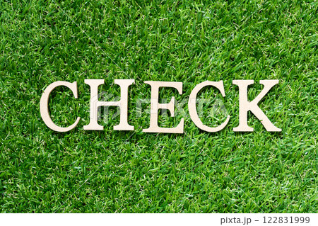Wood alphabet letter in word check on artificial green grass background 122831999