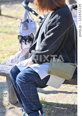 愛犬とお散歩する若い女性 キャリーケースに入るチワワ 愛犬とお散歩する若い女性 キャリーケースに入るチワワ 122832139