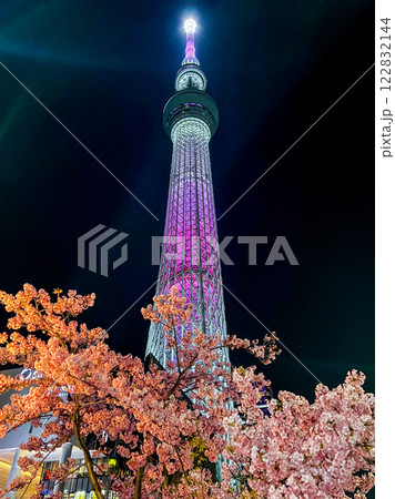 「東京都」ライトアップの東京スカイツリーと河津桜　都市夜景 122832144