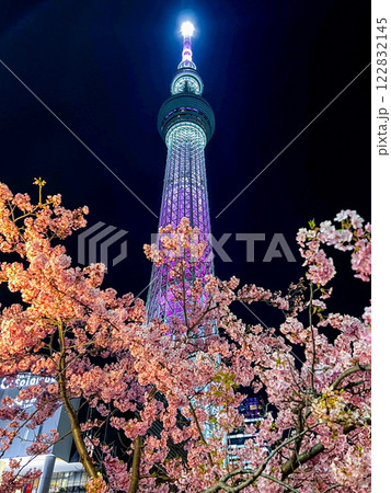 「東京都」ライトアップの東京スカイツリーと河津桜　都市夜景 122832145