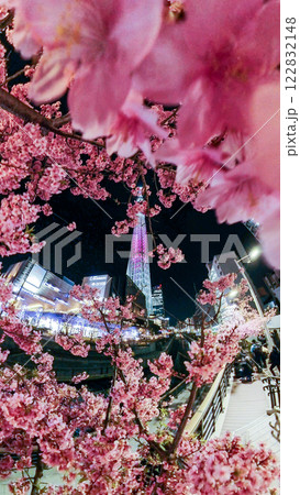 「東京都」ライトアップの東京スカイツリーと河津桜 都市夜景 「東京都」ライトアップの東京スカイツリーと河津桜 都市夜景 122832148