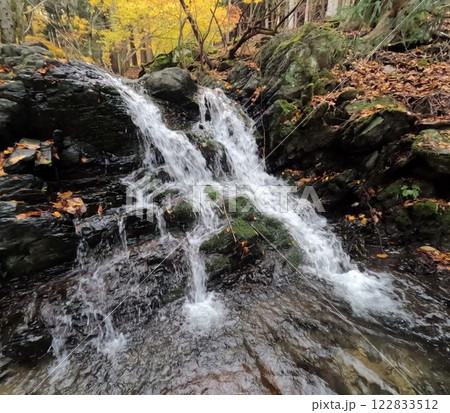 山奥の秋の渓流 122833512