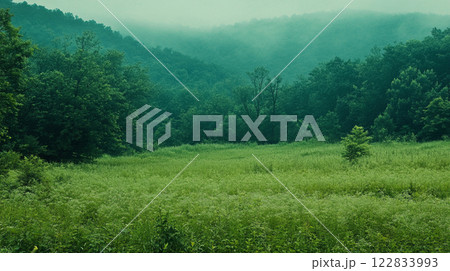 Lush green field with trees in the background. The sky is cloudy and the atmosphere is peaceful Lush green field with trees in the background. The sky is cloudy and the atmosphere is peaceful 122833993