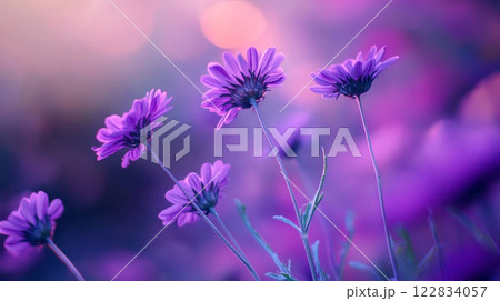 Field of purple flowers is the main focus of the image. The flowers are of various sizes and are scattered throughout the field. The sky in the background is a soft pink color, creating a serene Field of purple flowers is the main focus of the image. The flowers are of various sizes and are scattered throughout the field. The sky in the background is a soft pink color, creating a serene 122834057