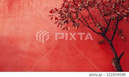Tree is standing in front of a red wall. The tree is bare and has no leaves Tree is standing in front of a red wall. The tree is bare and has no leaves 122834096