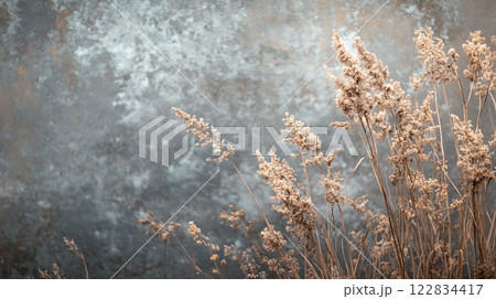 Field of dry grass with a grey background. The grass is tall and sparse, giving the image a sense of emptiness and loneliness Field of dry grass with a grey background. The grass is tall and sparse, giving the image a sense of emptiness and loneliness 122834417