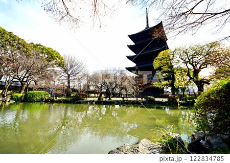 京都府 東寺・庭園 瓢箪池 五重塔 京都市 南区 九条町 2022年2月 京都府 東寺・庭園 瓢箪池 五重塔 京都市 南区 九条町 2022年2月 122834785