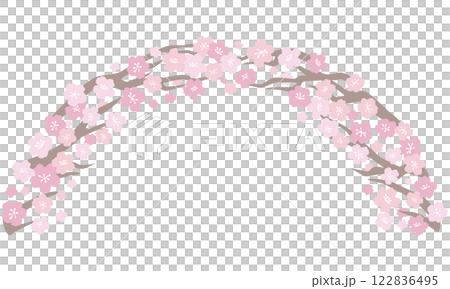 桜の花のアーチフレーム（枝あり） 122836495