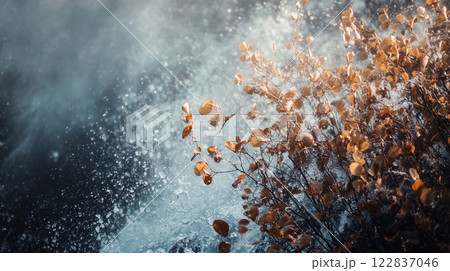 Tree with leaves that are falling in the rain. The leaves are orange and the sky is blue Tree with leaves that are falling in the rain. The leaves are orange and the sky is blue 122837046