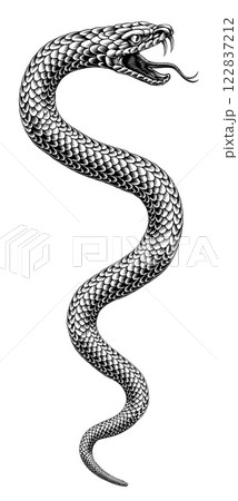 Snake Coiled Serpent Vintage Style Illustration 122837212
