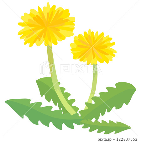 かわいいタンポポのイラスト ベクター素材 かわいいタンポポのイラスト ベクター素材 122837352