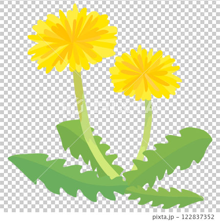 かわいいタンポポのイラスト ベクター素材 かわいいタンポポのイラスト ベクター素材 122837352