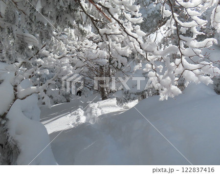 厳冬期の御嶽山(濁河温泉から飛騨頂上へ向かう登山道) 122837416