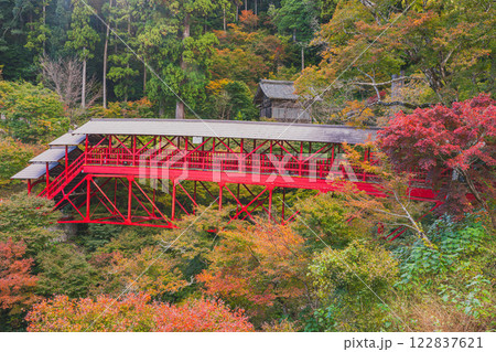 浜松市にある方広寺の紅葉の中の亀背橋の風景(静岡県) 122837621