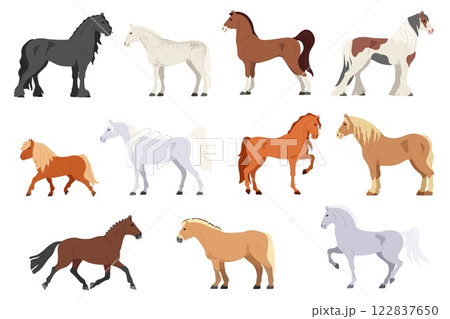 Cartoon horses. Different horse types, breeds and colors. Prancing pony, stallion run gallop and standing steed poses. Horse show isolated vector set Cartoon horses. Different horse types, breeds and colors. Prancing pony, stallion run gallop and standing steed poses. Horse show isolated vector set 122837650