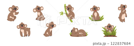 Funny Koala Animal with Cute Snout Vector Set 122837684