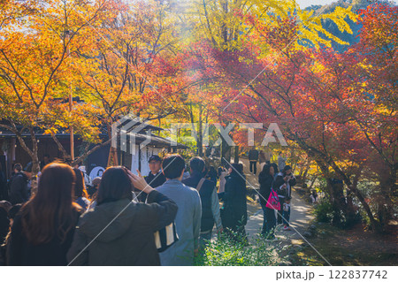 豊田市の香嵐渓の秋の紅葉を見に行く観光客の風景(愛知県) 122837742