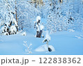 Winter landscape 122838362