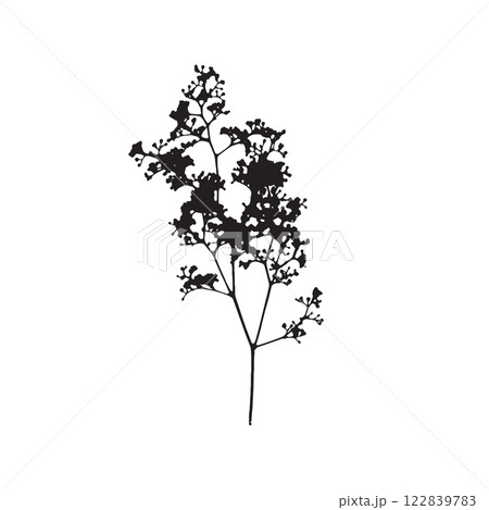 Rough edges dried floral sinlouette Rough edges dried floral sinlouette 122839783